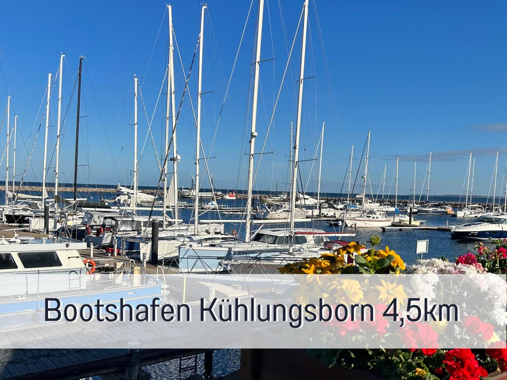2 Zimmer App Duenengarten Lieblingsplatz Wg11 Ostseebad Kühlungsborn Eksteriør bilde