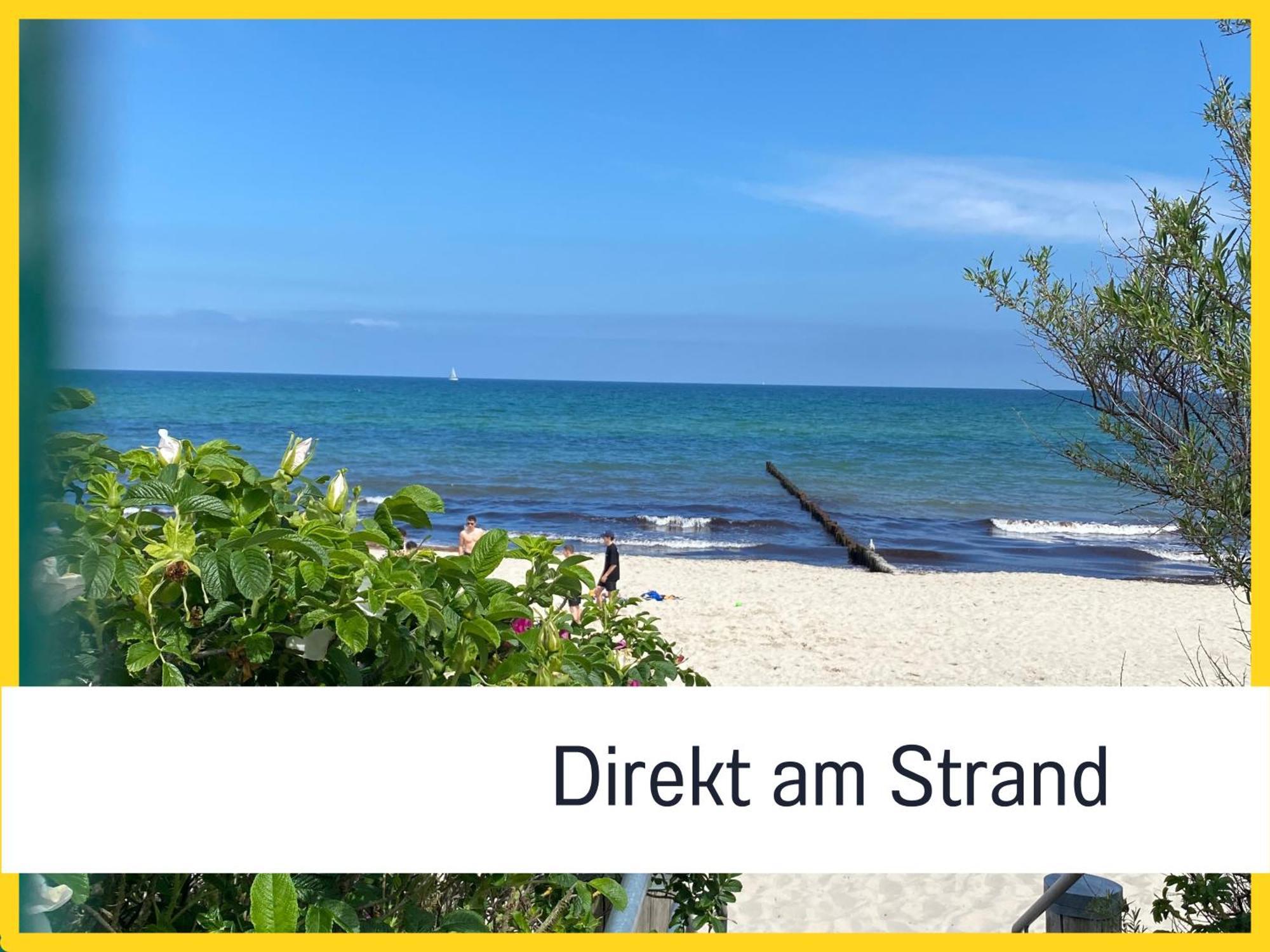 2 Zimmer App Duenengarten Lieblingsplatz Wg11 Ostseebad Kühlungsborn Eksteriør bilde